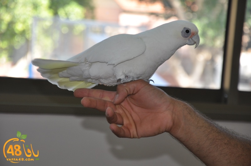 nady nhary 7san (25).JPG